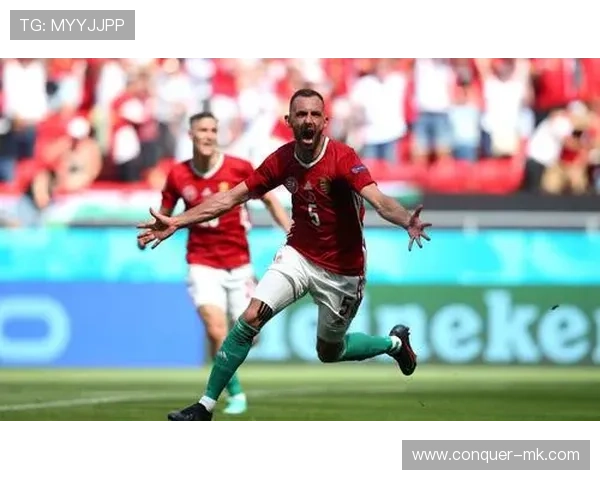 荷兰队全力出击，冲击欧洲杯冠军荣耀