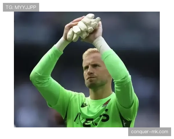 丹麦球员闪耀英超新赛季,精彩表现引热议 丹麦球员闪耀英超新赛季,精彩表现引热议