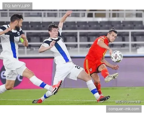 芬兰团队精神闪耀冬季运动会，出色表现引关注