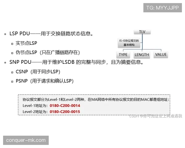 Osimhen合同细节与薪资结构曝光，含奖金条款及解约金设定