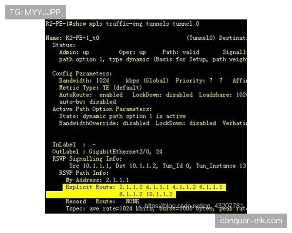 Son 精神属性与抗压能力