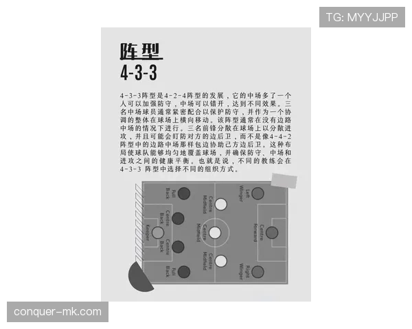 C罗进攻效率与战术适配性分析 C罗进攻效率与战术适配性分析